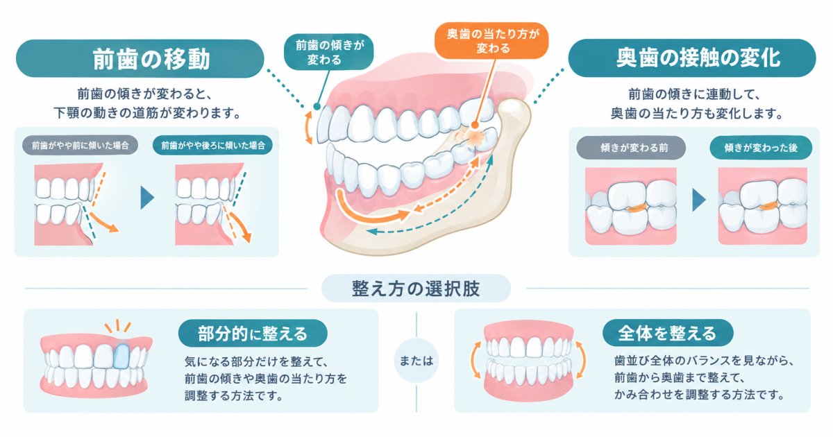 前歯だけの矯正で噛み合わせは崩れる？奥歯への影響と注意点を解説